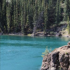 Meet your Posher, Alysia